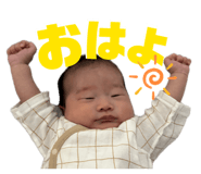 853245405