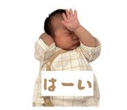 853245408