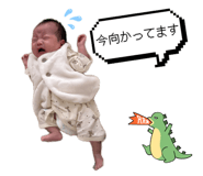 853245412