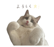 853245899