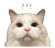 853245908