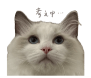 853245922