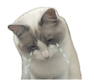 853245925
