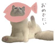 853245933