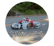 853245954