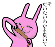 853246063