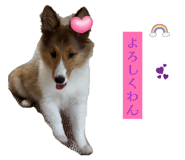853260348