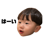 853260561