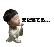 853260566