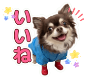 853260981