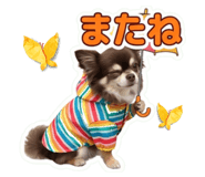 853260983