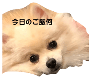 853261353