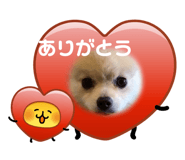 853261355
