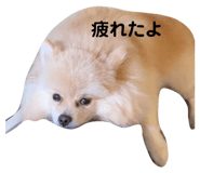 853261360