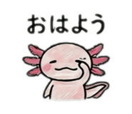 853261530