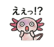 853261535
