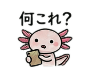 853261550