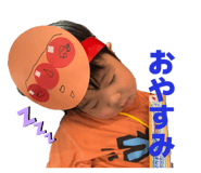 853262013