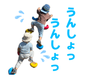 853262019