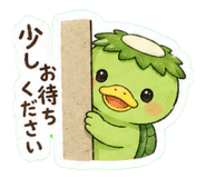 853262234