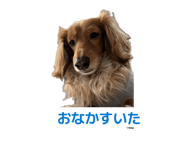 853263762