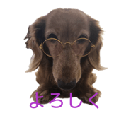 853263766