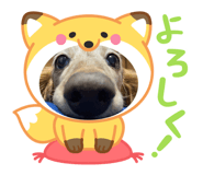 853263778