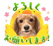 853263780