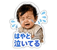 853264302