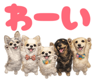 853281875