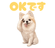853281876