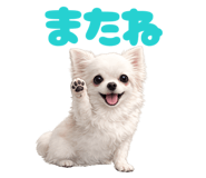 853281880