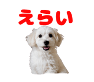 853281979