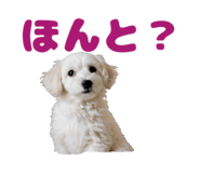 853281983