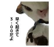 853282361
