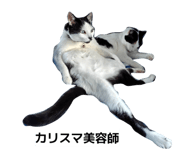 853282366