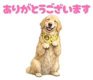 853282635