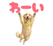 853282638