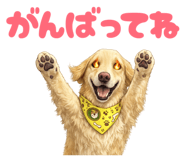 853282639
