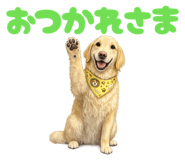 853282640