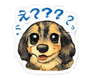 853283267