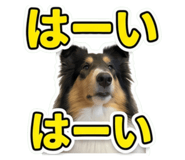 853284532