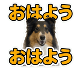 853284536