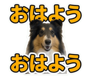 853284536