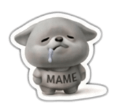 853284838
