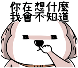 85328503