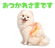 853294172