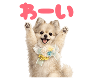 853294199