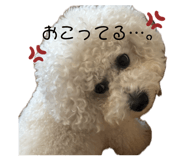 853294958