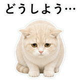 853296735